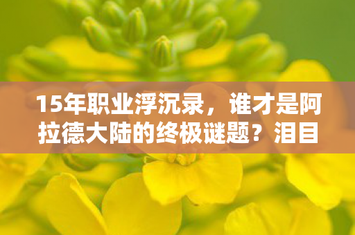 15年职业浮沉录,谁才是阿拉德大陆的终极谜题?泪目真相即将揭晓 15年职业浮沉录,谁才是阿拉德大陆的终极谜题?泪目真相即将揭晓