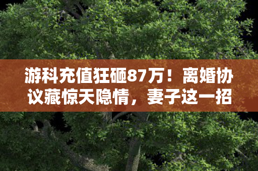 游科充值狂砸87万!离婚协议藏惊天隐情,妻子这一招让我吓一跳! 游科充值狂砸87万!离婚协议藏惊天隐情,妻子这一招让我吓一跳!