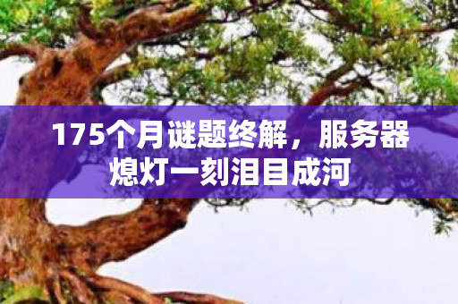 175个月谜题终解,服务器熄灯一刻泪目成河 175个月谜题终解,服务器熄灯一刻泪目成河