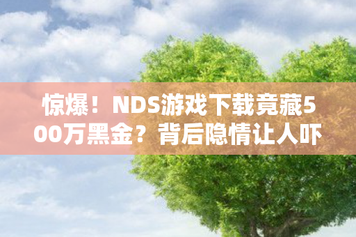 惊爆!NDS游戏下载竟藏500万黑金?背后隐情让人吓一跳! 惊爆!NDS游戏下载竟藏500万黑金?背后隐情让人吓一跳!