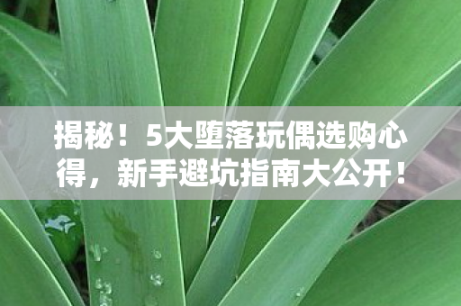 揭秘!5大堕落玩偶选购心得,新手避坑指南大公开! 揭秘!5大堕落玩偶选购心得,新手避坑指南大公开!