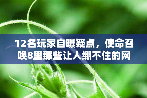 12名玩家自曝疑点,使命召唤8里那些让人绷不住的网吧故事 12名玩家自曝疑点,使命召唤8里那些让人绷不住的网吧故事