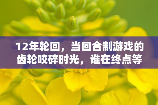 12年轮回，当回合制游戏的齿轮咬碎时光，谁在终点等来泪目重逢？