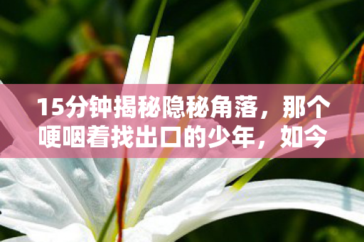 15分钟揭秘隐秘角落,那个哽咽着找出口的少年,如今还在吗? 15分钟揭秘隐秘角落,那个哽咽着找出口的少年,如今还在吗?
