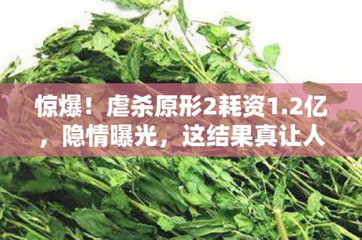 惊爆!虐杀原形2耗资1.2亿,隐情曝光,这结果真让人吓一跳! 惊爆!虐杀原形2耗资1.2亿,隐情曝光,这结果真让人吓一跳!