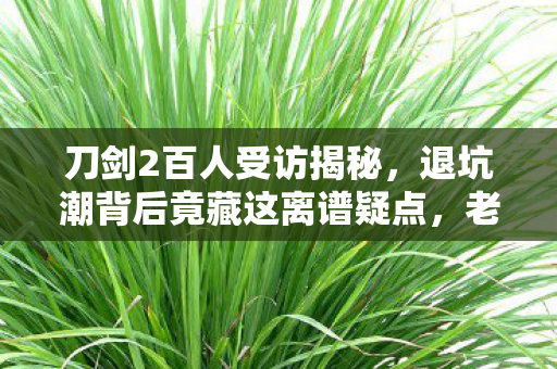 刀剑2百人受访揭秘，退坑潮背后竟藏这离谱疑点，老炮当场绷不住！