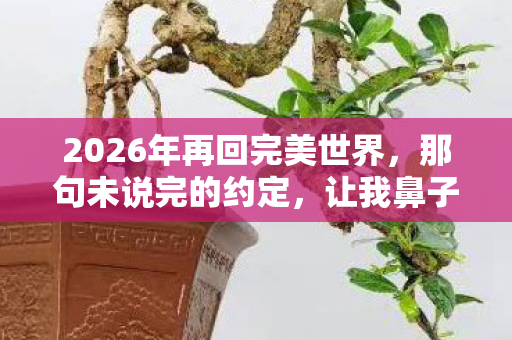 2026年再回完美世界,那句未说完的约定,让我鼻子一酸 2026年再回完美世界,那句未说完的约定,让我鼻子一酸