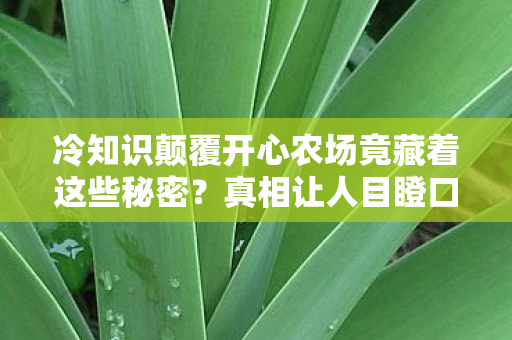 冷知识颠覆开心农场竟藏着这些秘密?真相让人目瞪口呆! 冷知识颠覆开心农场竟藏着这些秘密?真相让人目瞪口呆!