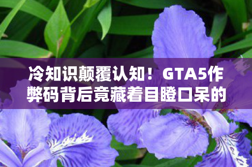 冷知识颠覆认知!GTA5作弊码背后竟藏着目瞪口呆的真相 冷知识颠覆认知!GTA5作弊码背后竟藏着目瞪口呆的真相