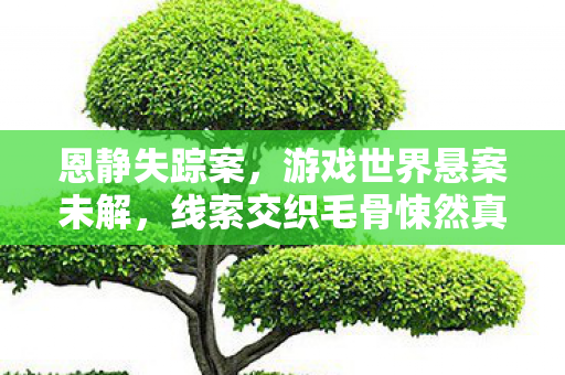 恩静失踪案，游戏世界悬案未解，线索交织毛骨悚然真相待揭