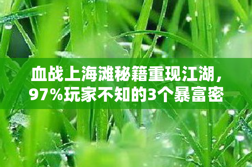 血战上海滩秘籍重现江湖,97%玩家不知的3个暴富密码,竟藏着202X年最野的财富神话 血战上海滩秘籍重现江湖,97%玩家不知的3个暴富密码,竟藏着202X年最野的财富神话