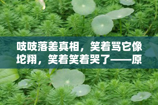 吱吱落差真相,笑着骂它像坨翔,笑着笑着哭了——原来我才是那坨翔 吱吱落差真相,笑着骂它像坨翔,笑着笑着哭了——原来我才是那坨翔