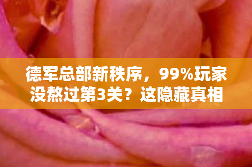 德军总部新秩序,99%玩家没熬过第3关?这隐藏真相让全网炸锅! 德军总部新秩序,99%玩家没熬过第3关?这隐藏真相让全网炸锅!