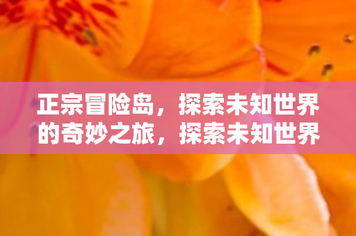 正宗冒险岛,探索未知世界的奇妙之旅,探索未知世界的奇妙之旅,正宗冒险岛 正宗冒险岛,探索未知世界的奇妙之旅,探索未知世界的奇妙之旅,正宗冒险岛