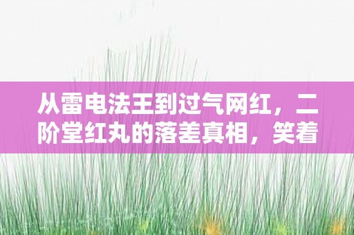 从雷电法王到过气网红,二阶堂红丸的落差真相,笑着笑着就哭了 从雷电法王到过气网红,二阶堂红丸的落差真相,笑着笑着就哭了