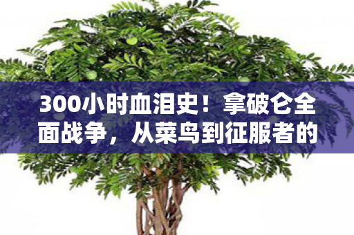 300小时血泪史!拿破仑全面战争,从菜鸟到征服者的狂喜与崩溃 300小时血泪史!拿破仑全面战争,从菜鸟到征服者的狂喜与崩溃