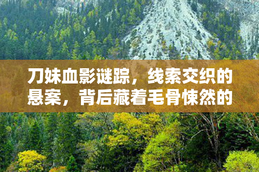 刀妹血影谜踪，线索交织的悬案，背后藏着毛骨悚然的真相