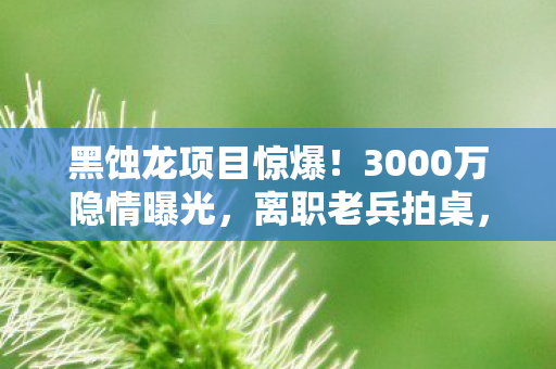 黑蚀龙项目惊爆！3000万隐情曝光，离职老兵拍桌，这操作真让人吓一跳！