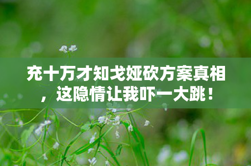 充十万才知戈娅砍方案真相，这隐情让我吓一大跳！