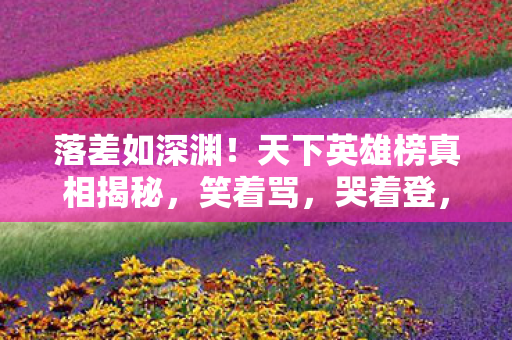 落差如深渊！天下英雄榜真相揭秘，笑着骂，哭着登，这坑谁懂？