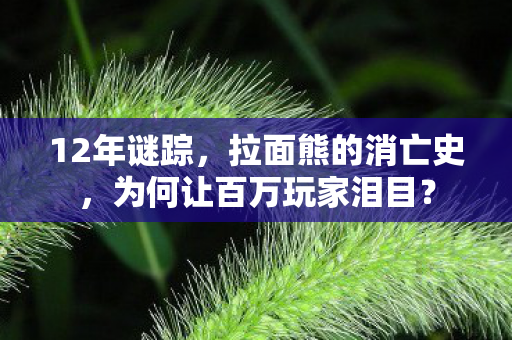 12年谜踪，拉面熊的消亡史，为何让百万玩家泪目？