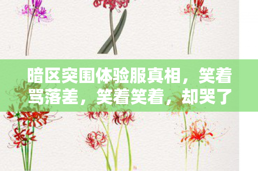 暗区突围体验服真相,笑着骂落差,笑着笑着,却哭了自己 暗区突围体验服真相,笑着骂落差,笑着笑着,却哭了自己