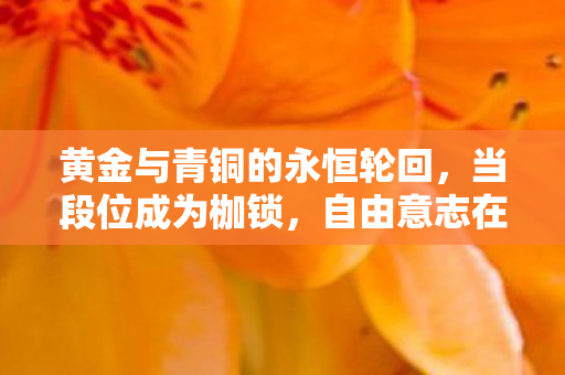 黄金与青铜的永恒轮回，当段位成为枷锁，自由意志在符文之地如何震颤灵魂？