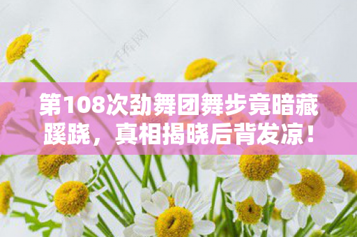 第108次劲舞团舞步竟暗藏蹊跷，真相揭晓后背发凉！