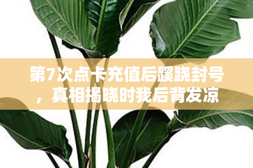 第7次点卡充值后蹊跷封号,真相揭晓时我后背发凉 第7次点卡充值后蹊跷封号,真相揭晓时我后背发凉