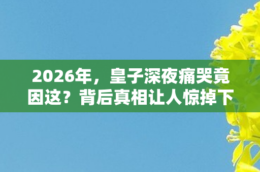 2026年,皇子深夜痛哭竟因这?背后真相让人惊掉下巴! 2026年,皇子深夜痛哭竟因这?背后真相让人惊掉下巴!