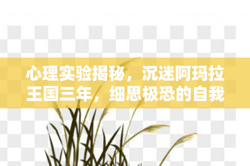 心理实验揭秘,沉迷阿玛拉王国三年,细思极恐的自我囚禁 心理实验揭秘,沉迷阿玛拉王国三年,细思极恐的自我囚禁