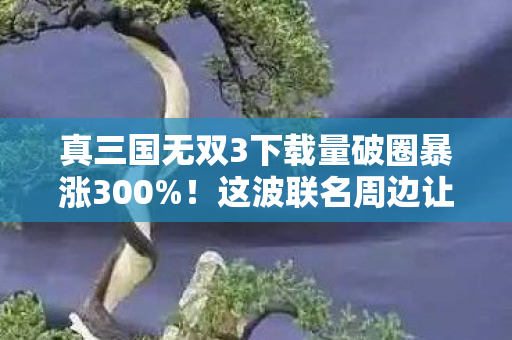 真三国无双3下载量破圈暴涨300%！这波联名周边让我连泡面都吃不起了！