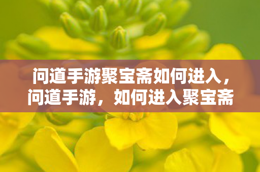 问道手游聚宝斋如何进入,问道手游,如何进入聚宝斋? 问道手游聚宝斋如何进入,问道手游,如何进入聚宝斋?
