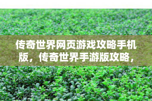 传奇世界网页游戏攻略手机版,传奇世界手游版攻略,打造你的传奇之路 传奇世界网页游戏攻略手机版,传奇世界手游版攻略,打造你的传奇之路