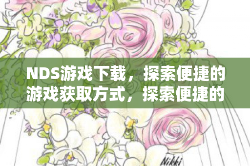 NDS游戏下载，探索便捷的游戏获取方式，探索便捷的游戏获取方式，NDS游戏下载