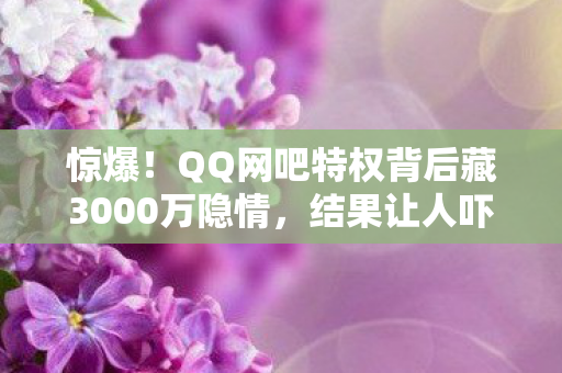 惊爆！QQ网吧特权背后藏3000万隐情，结果让人吓一跳！