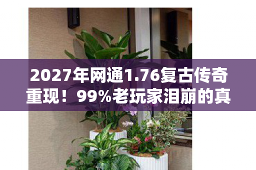 2027年网通1.76复古传奇重现!99%老玩家泪崩的真相竟是…… 2027年网通1.76复古传奇重现!99%老玩家泪崩的真相竟是……