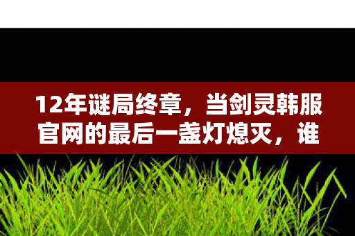 12年谜局终章,当剑灵韩服官网的最后一盏灯熄灭,谁在泪目守望? 12年谜局终章,当剑灵韩服官网的最后一盏灯熄灭,谁在泪目守望?