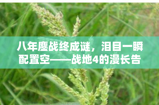 八年鏖战终成谜,泪目一瞬配置空——战地4的漫长告别 八年鏖战终成谜,泪目一瞬配置空——战地4的漫长告别