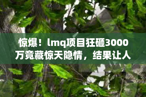 惊爆!lmq项目狂砸3000万竟藏惊天隐情,结果让人吓一跳! 惊爆!lmq项目狂砸3000万竟藏惊天隐情,结果让人吓一跳!