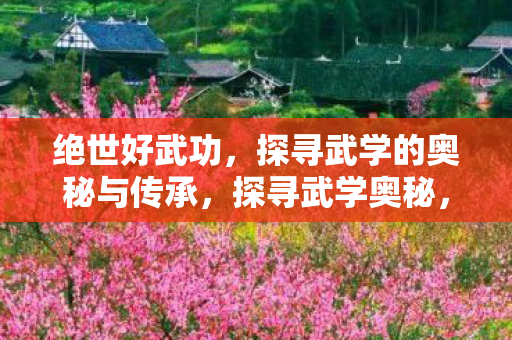 绝世好武功,探寻武学的奥秘与传承,探寻武学奥秘,绝世好武功的传承之道 绝世好武功,探寻武学的奥秘与传承,探寻武学奥秘,绝世好武功的传承之道