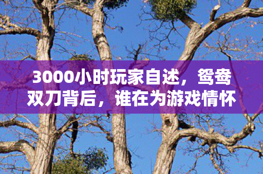 3000小时玩家自述,鸳鸯双刀背后,谁在为游戏情怀买单? 3000小时玩家自述,鸳鸯双刀背后,谁在为游戏情怀买单?