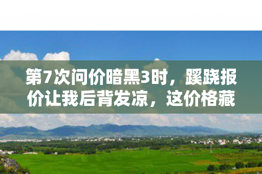 第7次问价暗黑3时,蹊跷报价让我后背发凉,这价格藏着人性的深渊 第7次问价暗黑3时,蹊跷报价让我后背发凉,这价格藏着人性的深渊