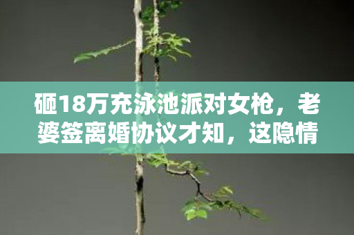 砸18万充泳池派对女枪，老婆签离婚协议才知，这隐情真让人吓一跳！