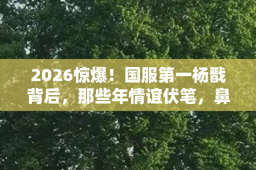 2026惊爆！国服第一杨戬背后，那些年情谊伏笔，鼻子一酸忆往昔
