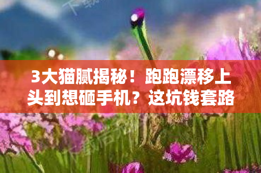3大猫腻揭秘!跑跑漂移上头到想砸手机?这坑钱套路绝了 3大猫腻揭秘!跑跑漂移上头到想砸手机?这坑钱套路绝了