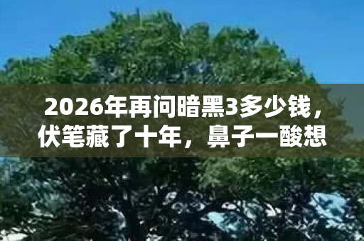 2026年再问暗黑3多少钱,伏笔藏了十年,鼻子一酸想起你 2026年再问暗黑3多少钱,伏笔藏了十年,鼻子一酸想起你