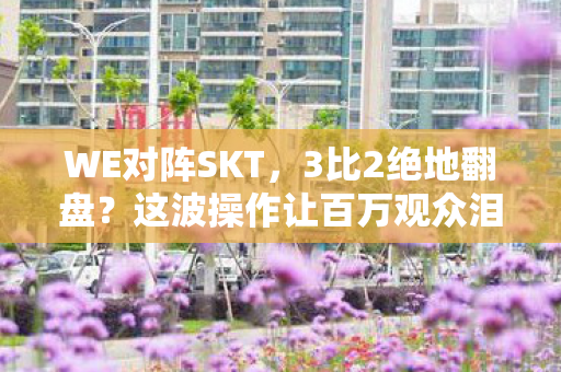 WE对阵SKT，3比2绝地翻盘？这波操作让百万观众泪目！