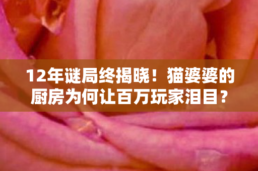 12年谜局终揭晓！猫婆婆的厨房为何让百万玩家泪目？