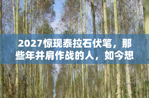 2027惊现泰拉石伏笔,那些年并肩作战的人,如今想起鼻子一酸 2027惊现泰拉石伏笔,那些年并肩作战的人,如今想起鼻子一酸